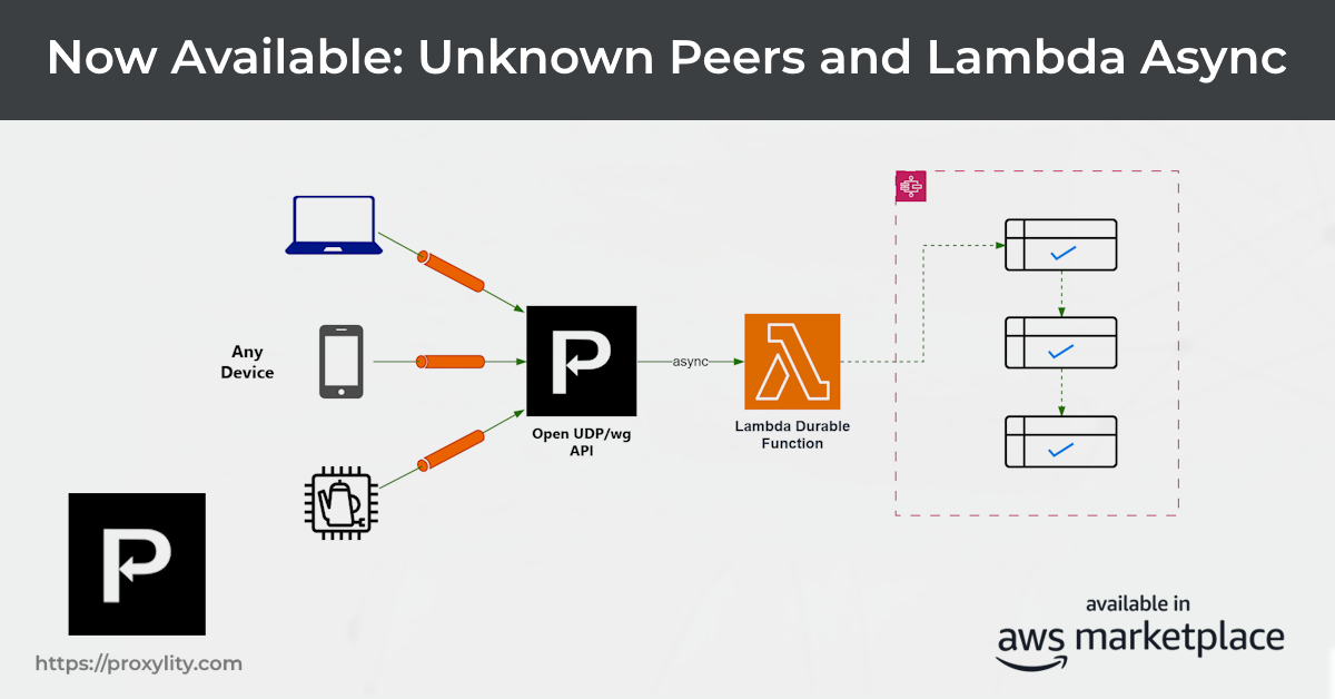 Diagram showing unfastened WireGuard endpoint accepting immoderate adjacent and async Lambda workflow