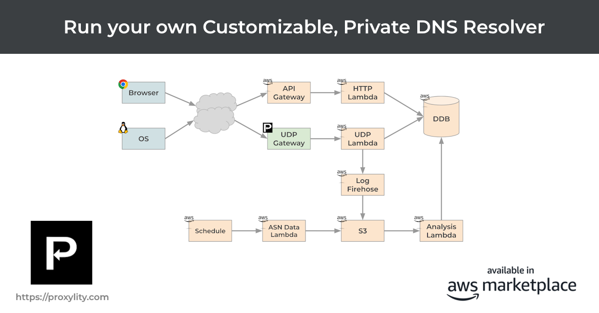 DNS queries flow through Proxylity to regional filtering and analysis resources